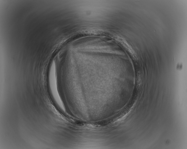 X0000093730585200711061003