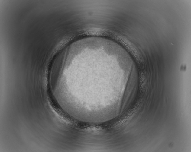 X0000093730586200711061003