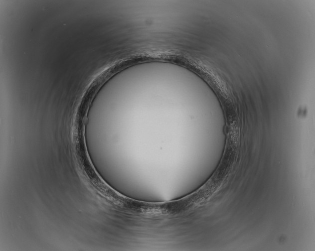 X0000093730587200711061003