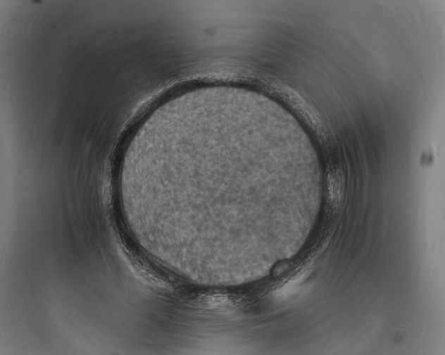 X0000093730588200711061003