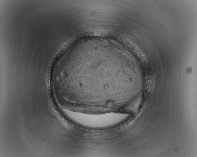 X0000093730589200711061003