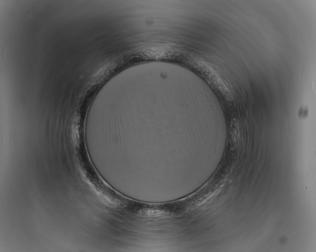 X0000093730590200711061003