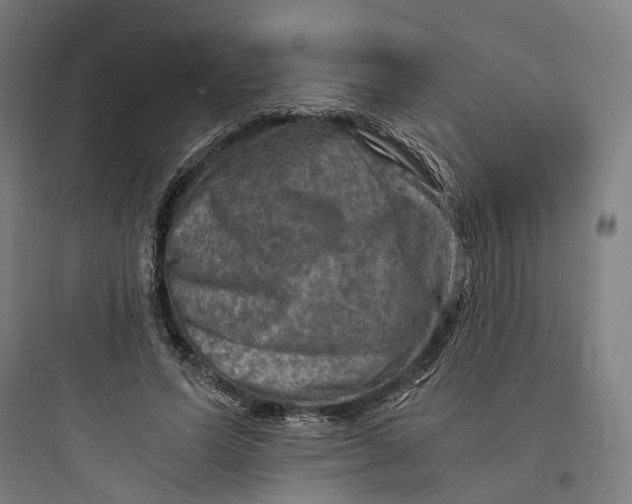 X0000093730591200711061003