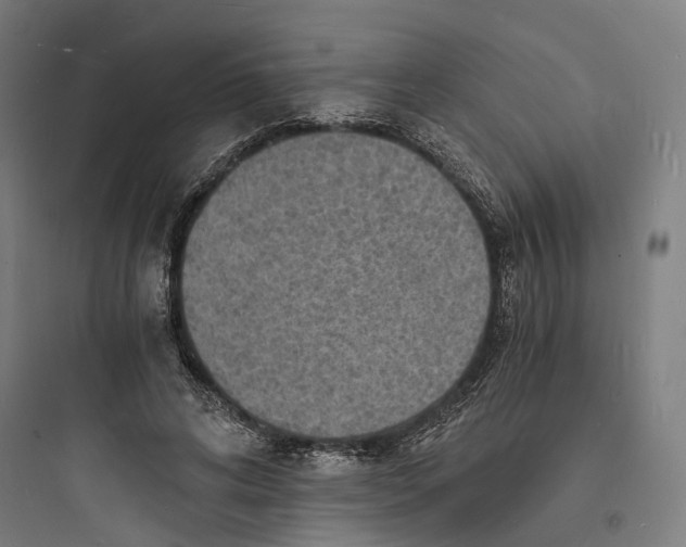 X0000093730592200711061003