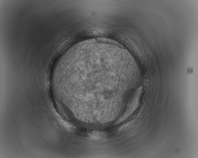 X0000093730593200711061003