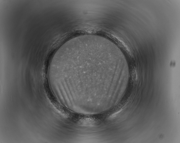 X0000093730594200711061003