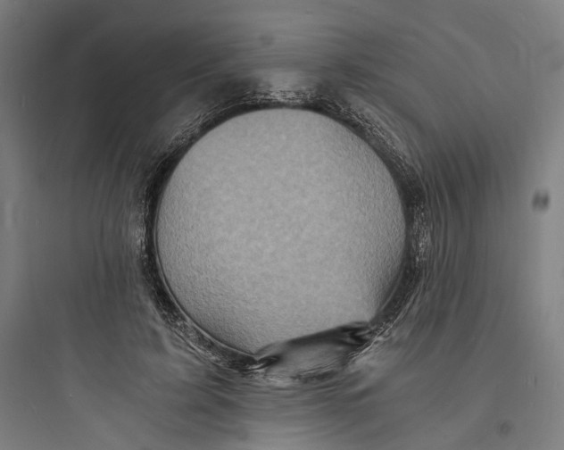 X0000093730595200711061003