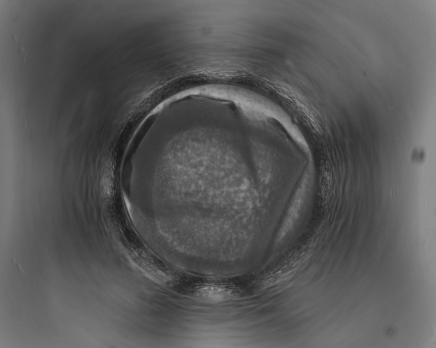 X0000093730596200711061002