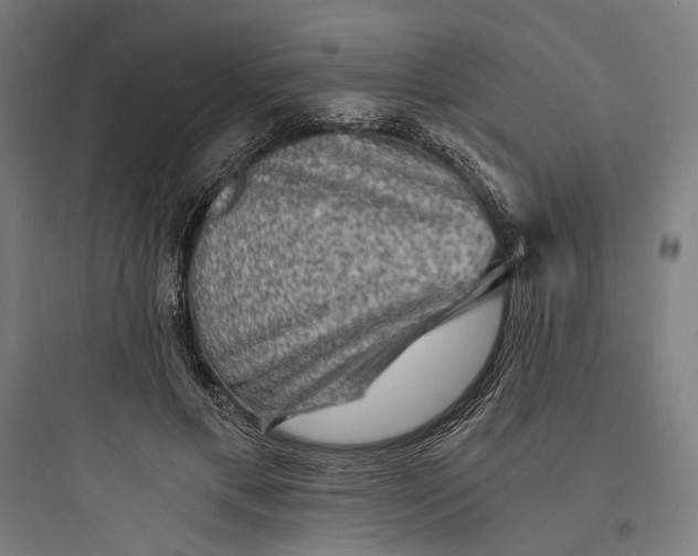 X0000093730597200711061002