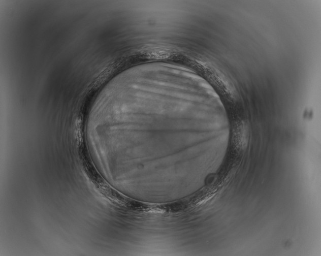 X0000093730598200711061002