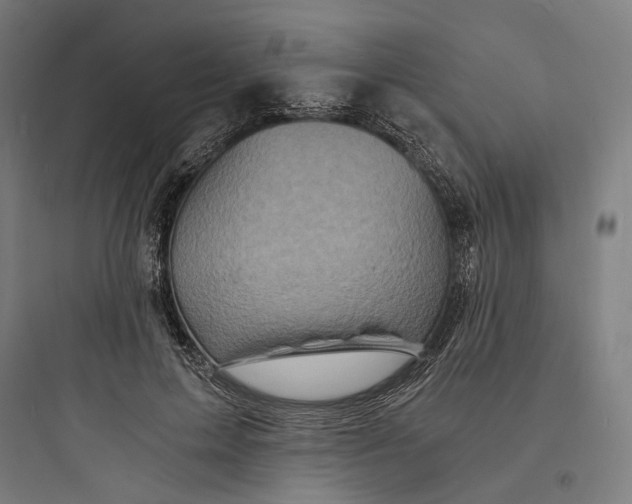 X0000093730599200711061002