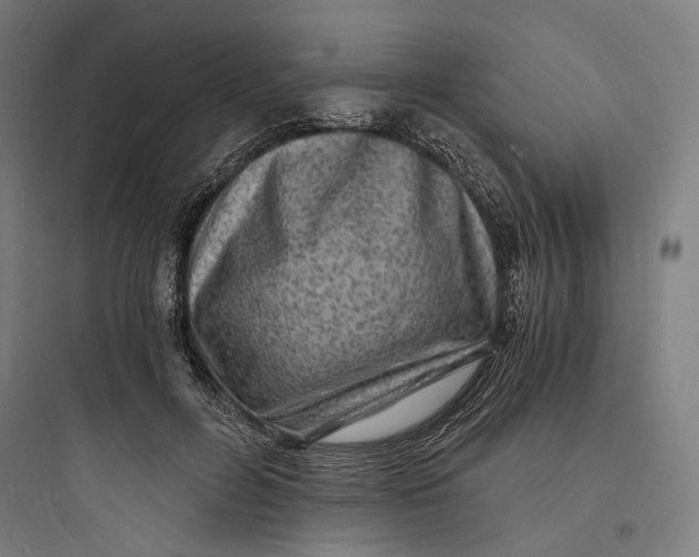 X0000093730600200711061002