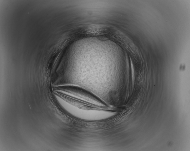 X0000093730601200711061002