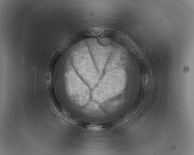 X0000093730602200711061002