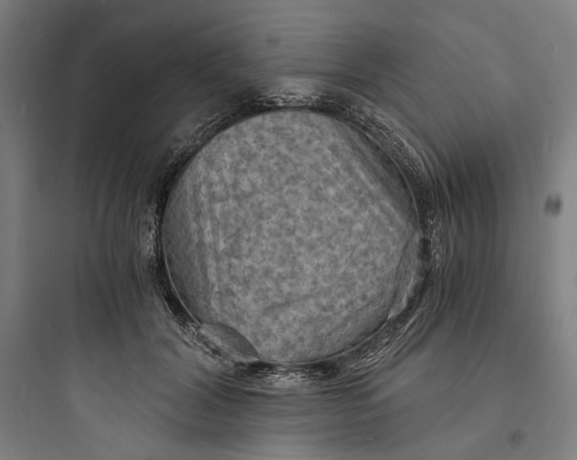 X0000093730604200711061002