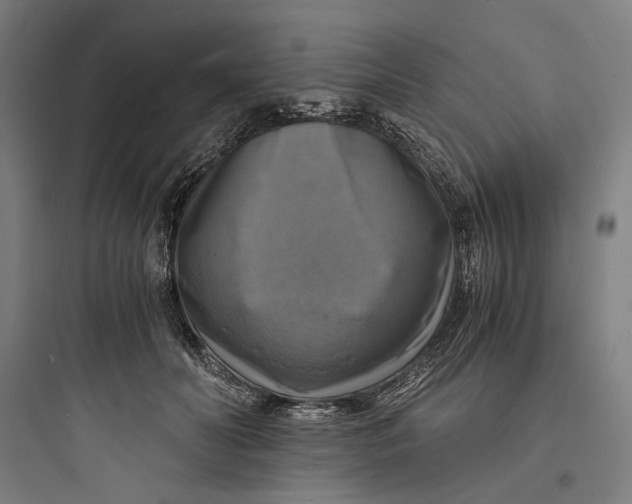 X0000093730606200711061002