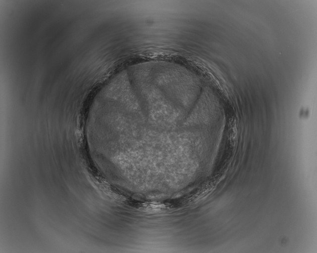 X0000093730607200711061002