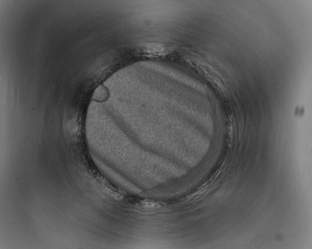 X0000093730608200711061002