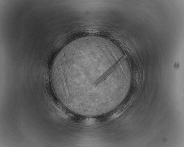 X0000093730609200711061002