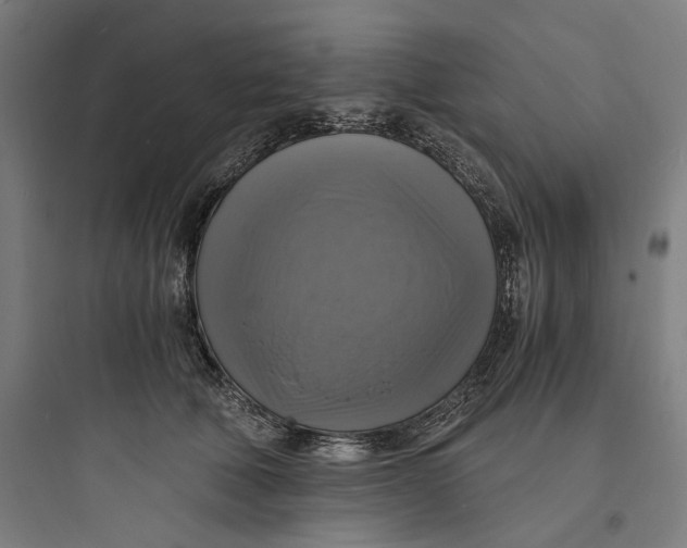 X0000093730610200711061002