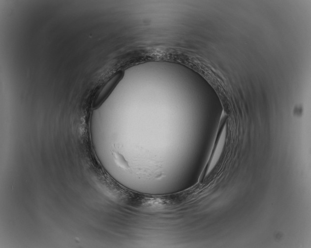 X0000093730611200711061002