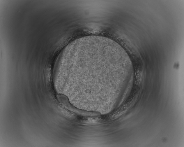 X0000093730612200711061002