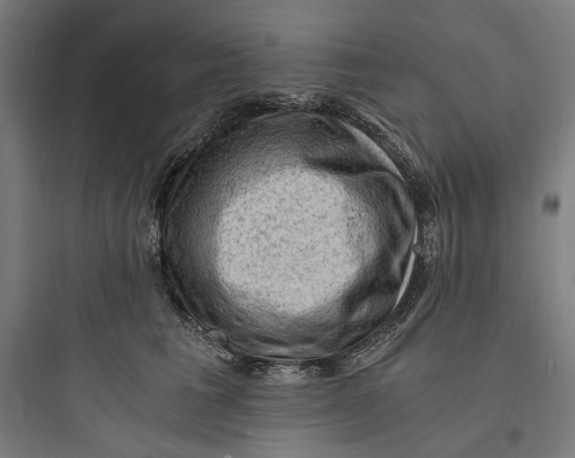 X0000093730613200711061002