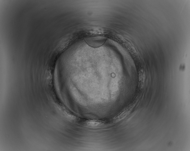 X0000093730614200711061002