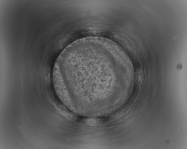 X0000093730615200711061002