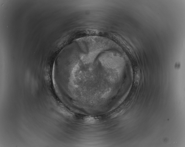 X0000093730616200711061002