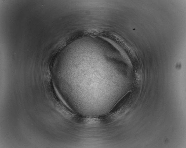 X0000093730617200711061002