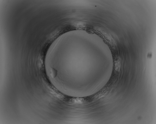 X0000093730618200711061002