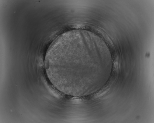 X0000093730620200711061002