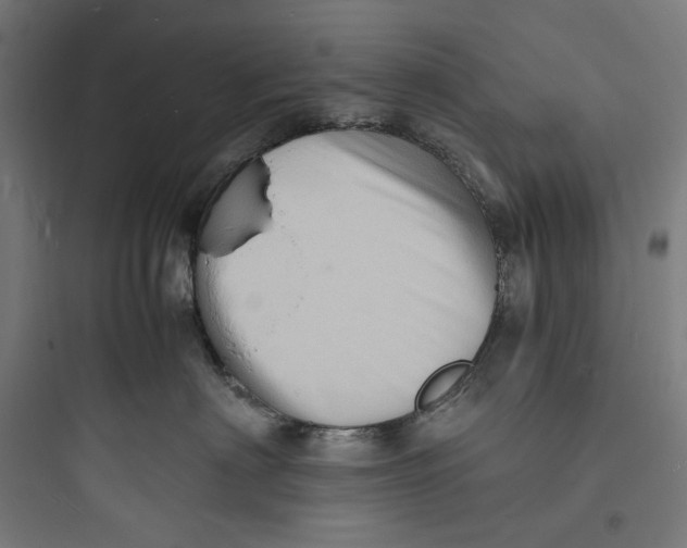 X0000093730622200711061002