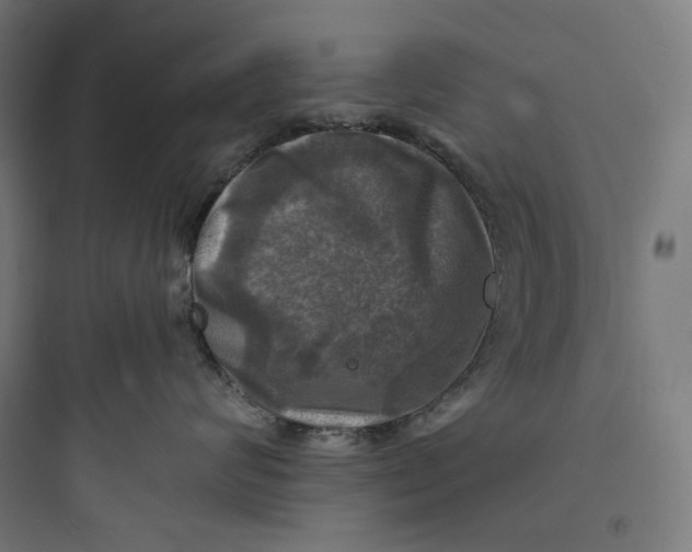 X0000093730624200711061002