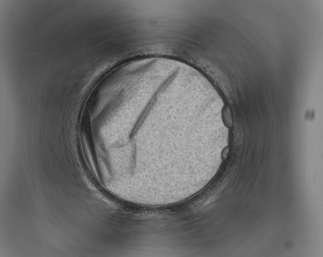 X0000093730625200711061001