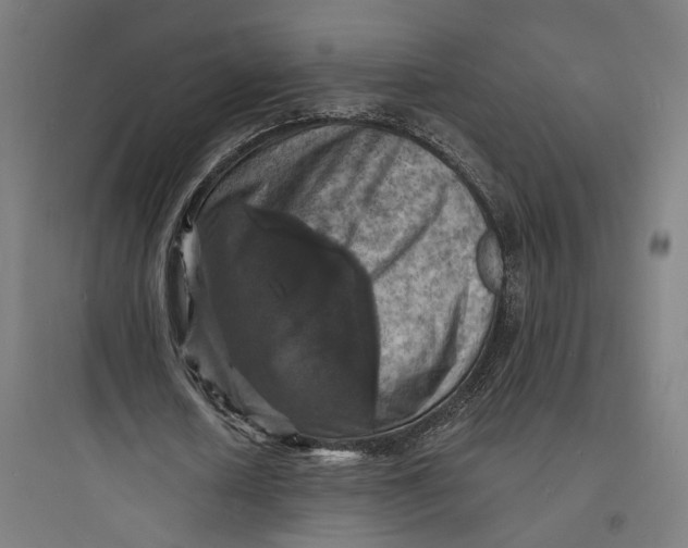 X0000093730626200711061001