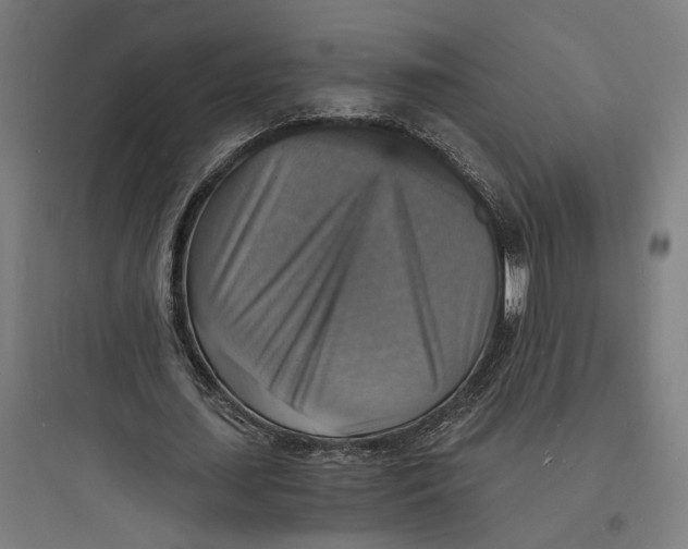 X0000093730627200711061001