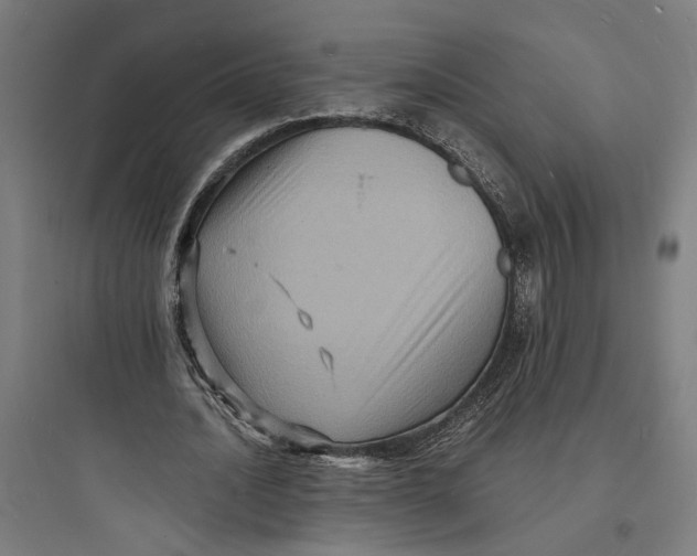 X0000093730628200711061001