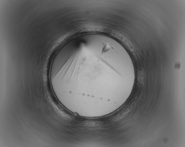 X0000093730629200711061001