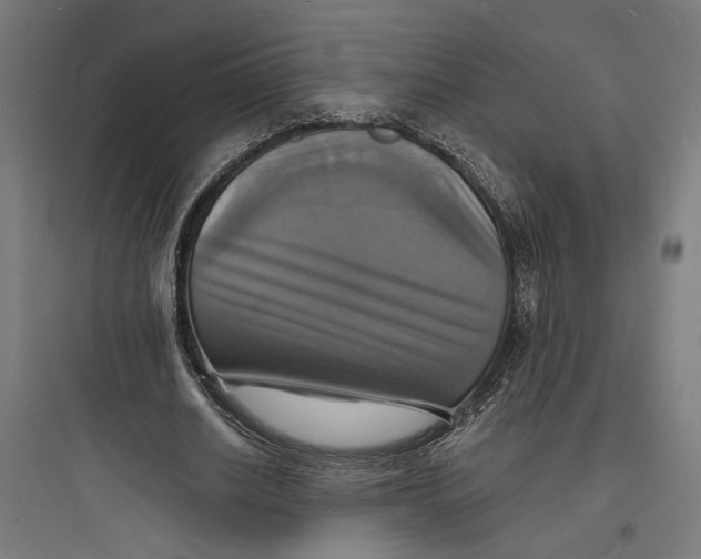 X0000093730630200711061001