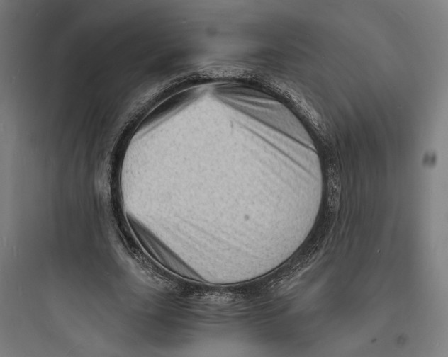 X0000093730631200711061001