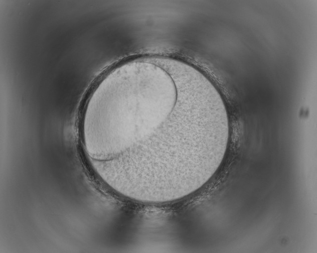 X0000093730632200711061001