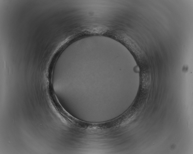 X0000093730634200711061001