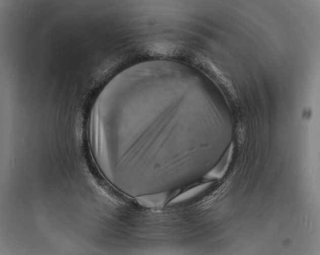 X0000093730637200711061001