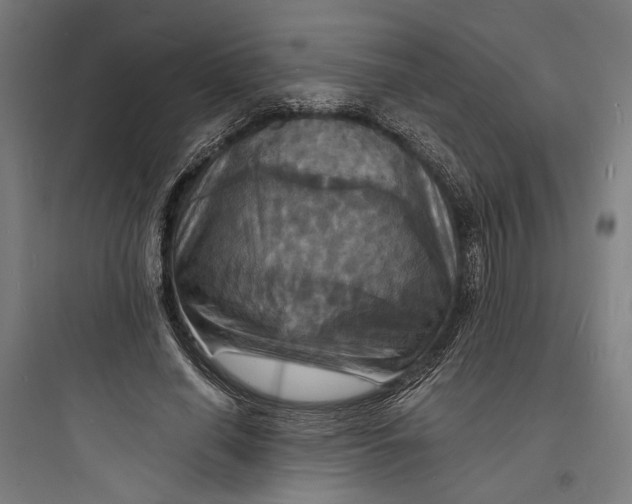 X0000093730638200711061001