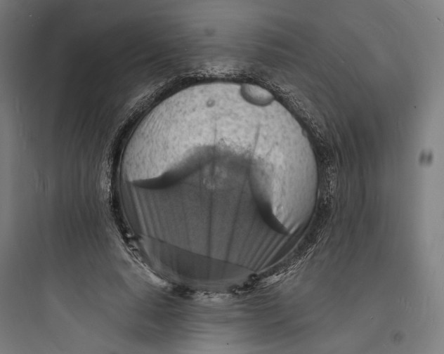 X0000093730640200711061002