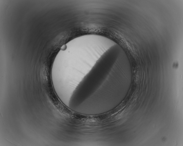 X0000093730643200711061002