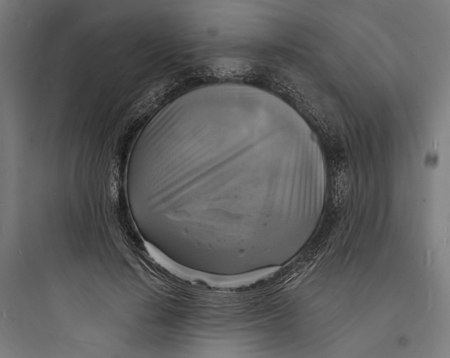 X0000093730644200711061002