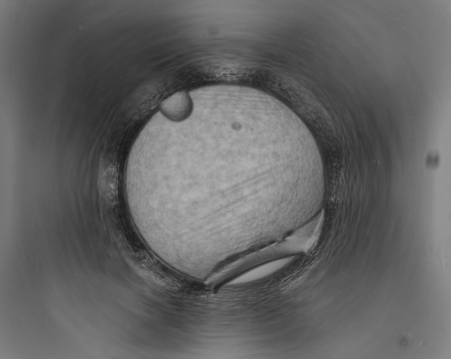 X0000093730646200711061002